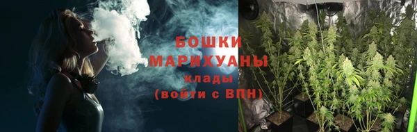 СК Вяземский